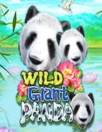 ยิง ปลา ได้ ตัง จริง กับเกมทดลองเล่นจาก PG Soft